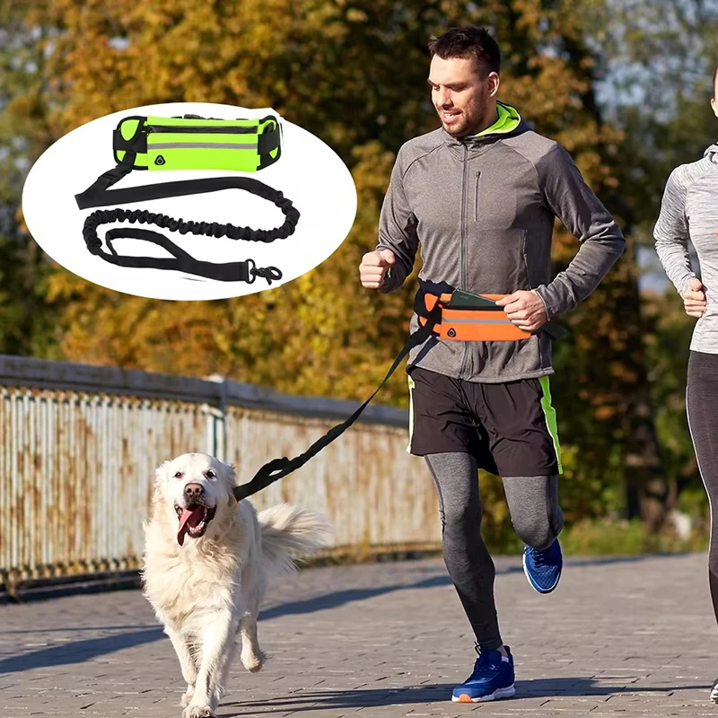 مقود الكلب بدون استخدام اليدين - مراجعة Running Gear Holder وسعره