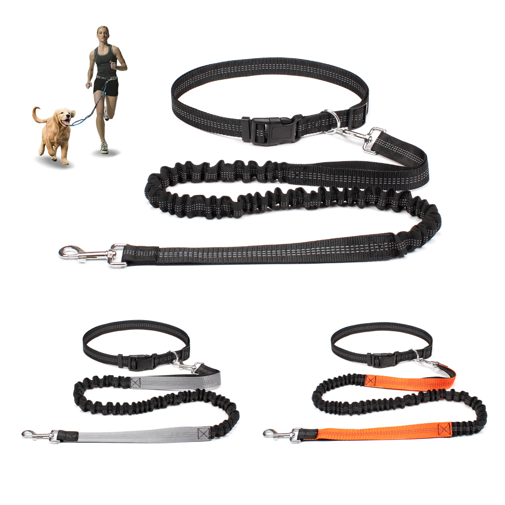 حزام مشي للكلاب بدون استخدام ا - مراجعة Running Gear Holder وسعره