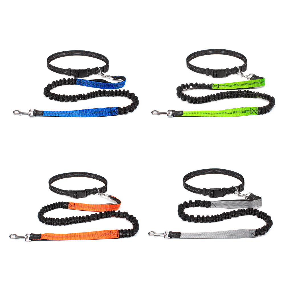 حزام مشي للكلاب بدون استخدام ا - مراجعة Running Gear Holder وسعره